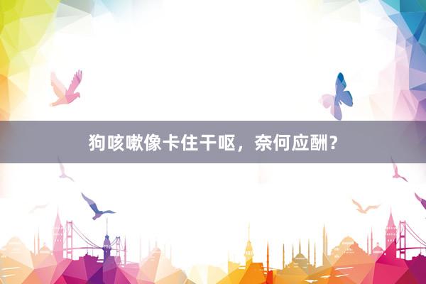 狗咳嗽像卡住干呕,奈何应酬?